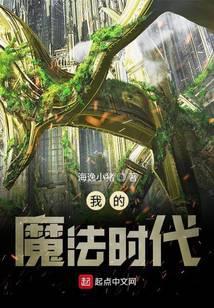 我的魔法时代地图