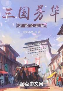 三国芳华之家父袁绍TXT