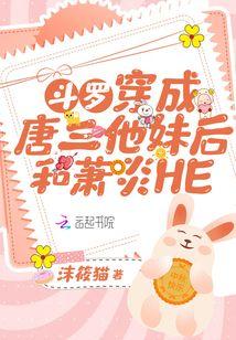 斗罗穿成唐三他妹后和萧炎he了