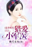 追妻成狂免费阅读全文