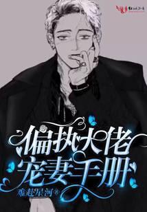 偏执大佬宠妻成瘾免费全文