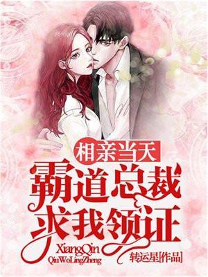 相亲被总裁拉去结婚的