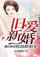 旧爱新婚boss情劫娇萌妻免费阅读