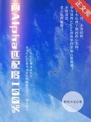 两a匹配度100讲的什么