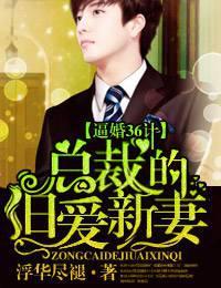 总裁的旧爱新妻全文免费阅读浮华退尽