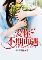 爱你不期而遇演员表介绍