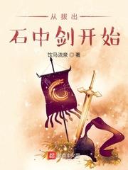 从拔出石中剑开始笔趣阁