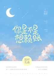 你是不是想赖账TXT