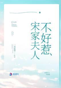 宋家夫人不好惹晋江文学城
