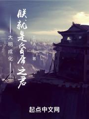 大明风华朕乃永乐大帝