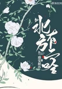 北方有二哈书评