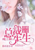 隐婚蜜爱总裁先生掌心宠