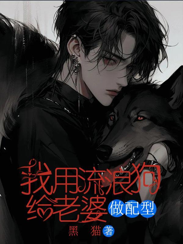 流浪狗争夺配偶打架视频