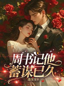 周书记是什么电视剧