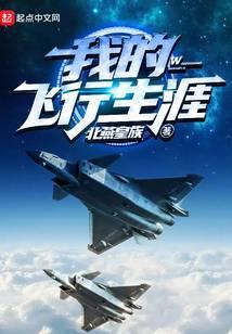 我的飞行生涯免费阅读