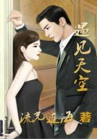 遇见天女装官大概价格多少