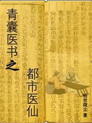 青囊医书之都市医仙免费阅读