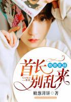 婚谋已久首席轻一点全文免费阅读