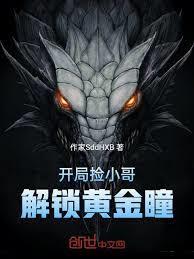 海贼王之炼金术师