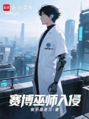 赛博巫师入侵末日无错版