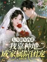 七零年代农村随军