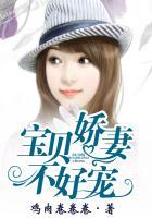 宝贝娇妻好难哄
