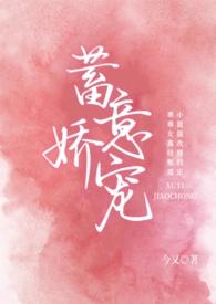 蓄意娇宠作者今又