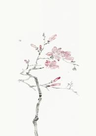 燕尔(古言1v1)尔容讲的什么