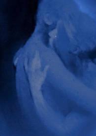 窈窕春光(高干1v1h)全文免费阅读_局部