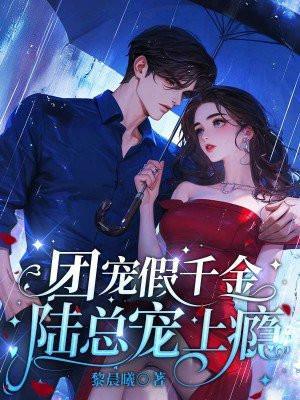 你的马甲又掉了陆时深