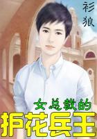 女总裁的护花兵王龙元