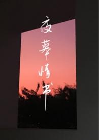 夜幕之下是什么