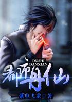 都市丹神免费阅读