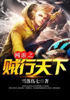 网游之贼行天下发飙的蜗牛TXT