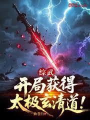 综武开局获得太极玄清道作者一曲苍白