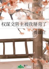 权谋文男主被我掰弯了TXT免费