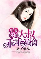 甜妻大叔抱一抱时安免费全文