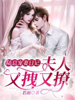 陆总宠妻日记:夫人又拽又撩