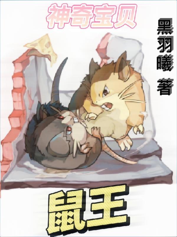 神奇宝贝:鼠王