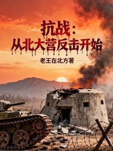 抗战:从北大营反击开始