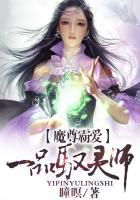 魔尊追爱:一品驭灵师