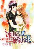 豪门重生:冰山总裁独宠校花