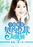 冷婚暖爱,契约总裁太傲娇