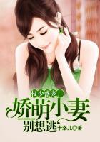 权少盛宠:娇萌小妻别想逃