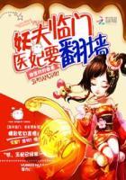 妖夫临门:医妃要翻墙